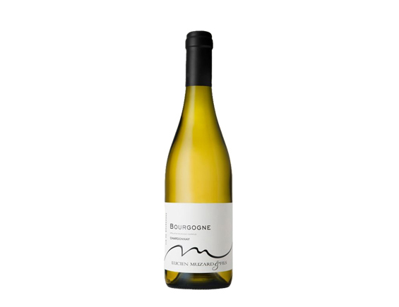 Domaine Lucien Muzard Bourgogne Chardonnay 2023