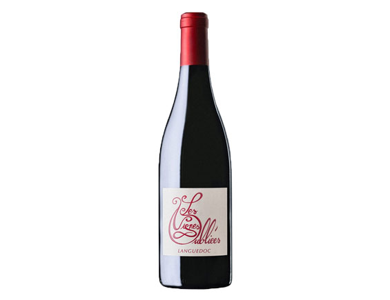 Les Vignes Oubliées Autour Du Cinsault 2024