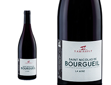 Domaine Yannick Amirault Saint-Nicolas de Bourgueil La Mine 2023